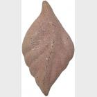 2058 Pembe Granit