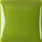 IN 1062 Light Kiwi